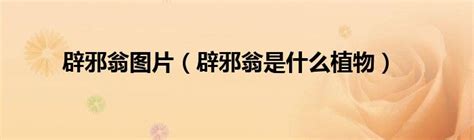 去丧礼要带什么辟邪|參加喪禮該帶什麼避邪？命理師推爆「這2樣」：有效又方便 